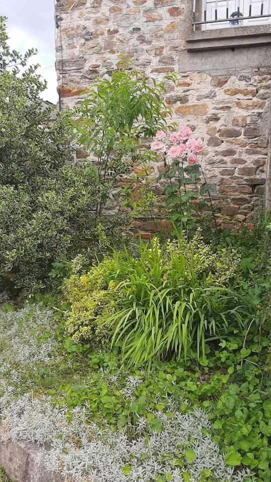 Casa Do Hiebra Alojamiento Rural Ribeira Sacra Castroncelos 외부 사진