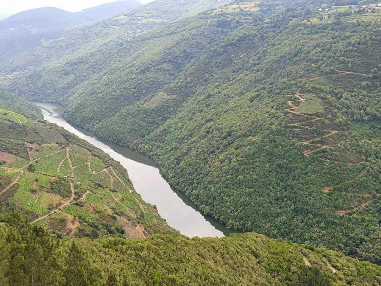 Casa Do Hiebra Alojamiento Rural Ribeira Sacra Castroncelos 외부 사진